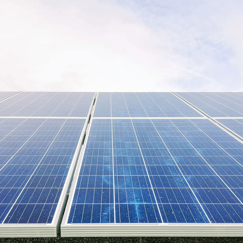 Rows of blue solar panels under a pale sky
